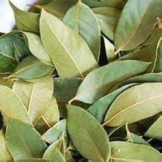 Jamaican Pimento Leaves – 50g (Dried)